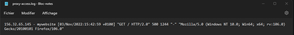proxy-access.log